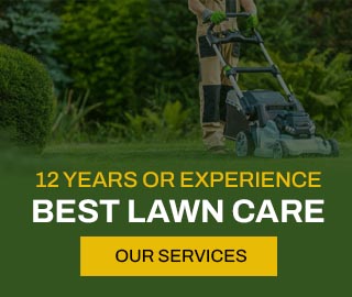 12 YEARS OF EXPERIENCE