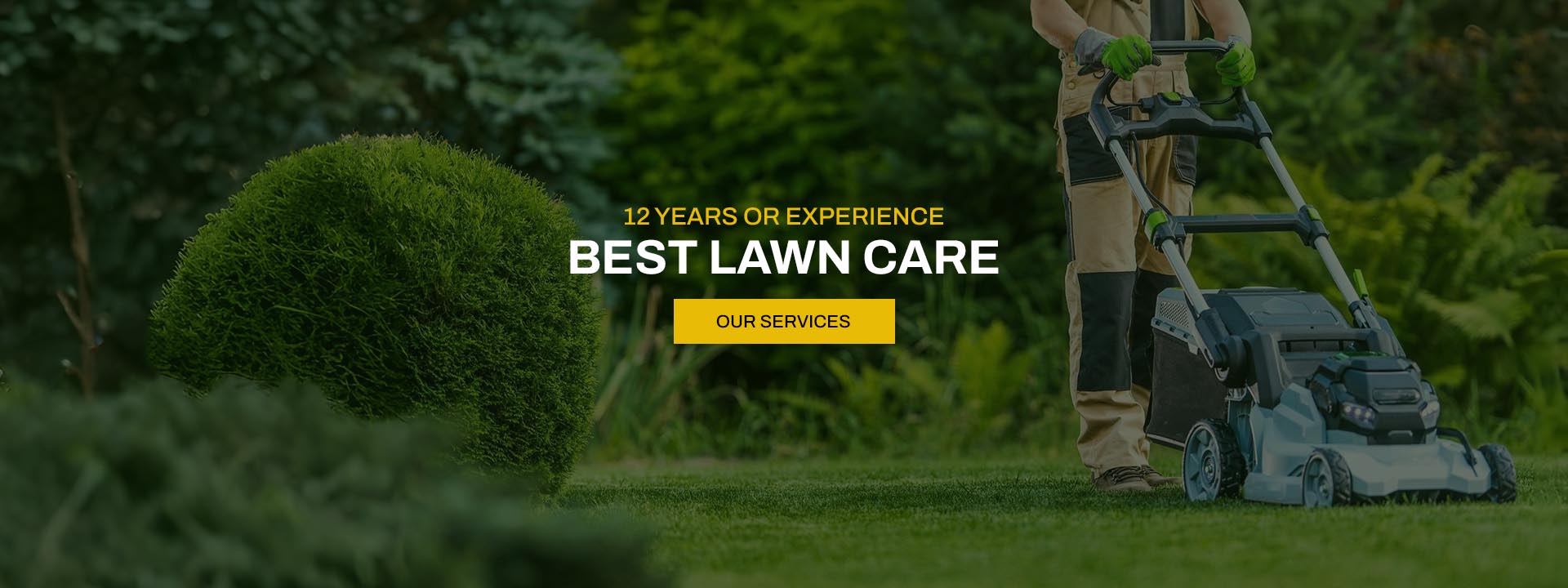 BEST LAWN CARE